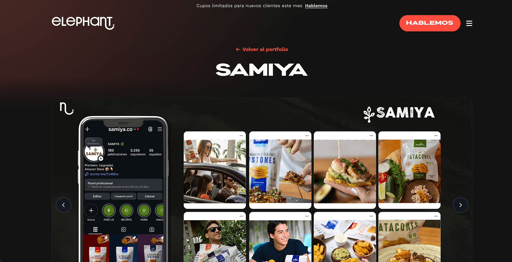 Elephant Digital Group — screen 3